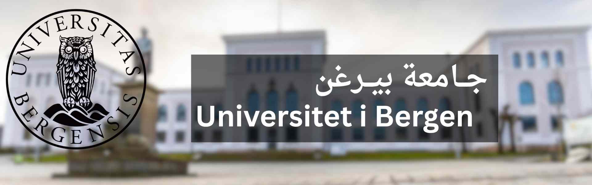 UIB WEB